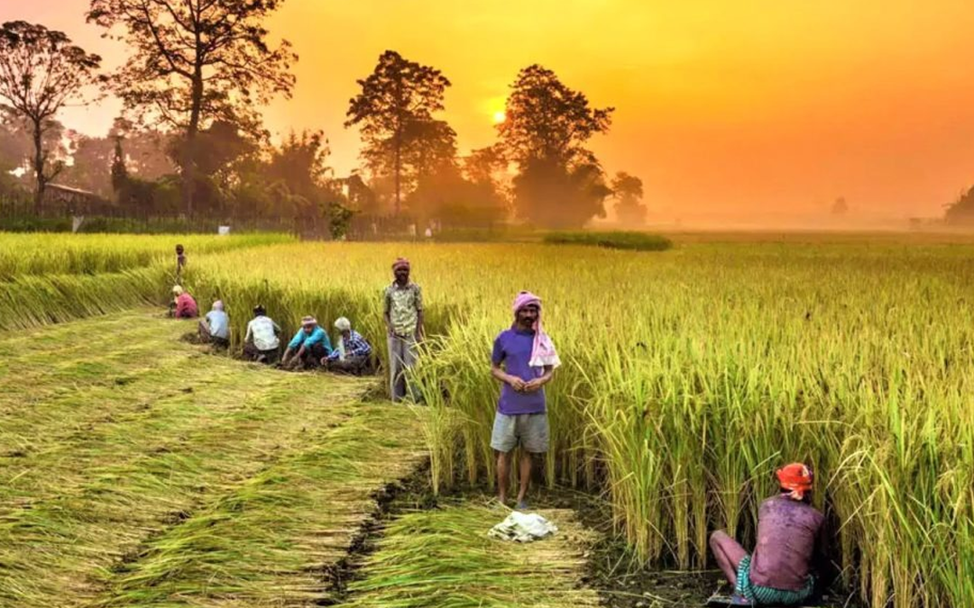 नैशनल एग्रीकल्चर इन्फ्रास्ट्रक्चर फाइनेसिंग फैसिलिटी (कृषि अवसंरचना निधि)