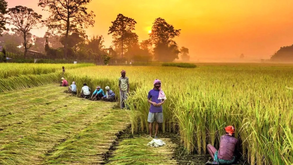 Agriculture Infrastructure image
