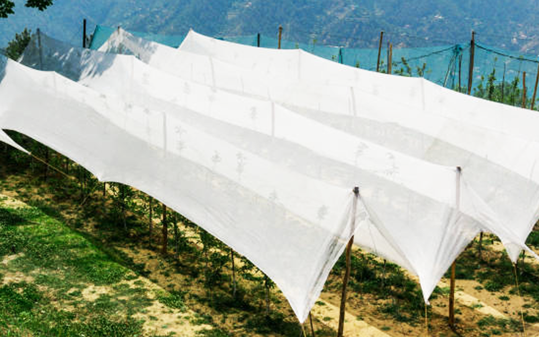 कृषोन्नति योजना