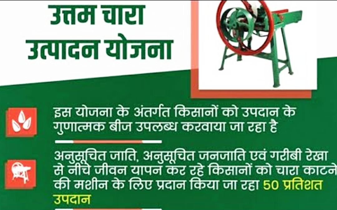 PROMOTION OF NUTRI CEREALS