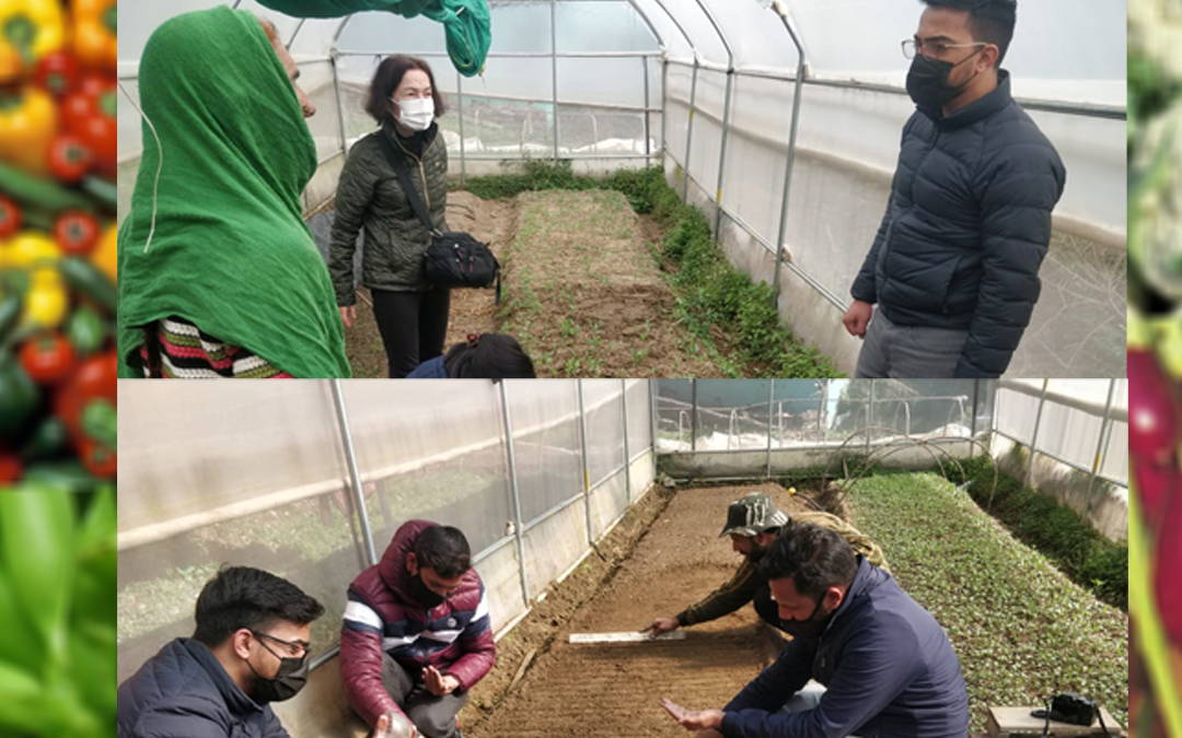 HP CROP DIVERSIFICATION PROMOTION PROJECT (JICA-EAP)