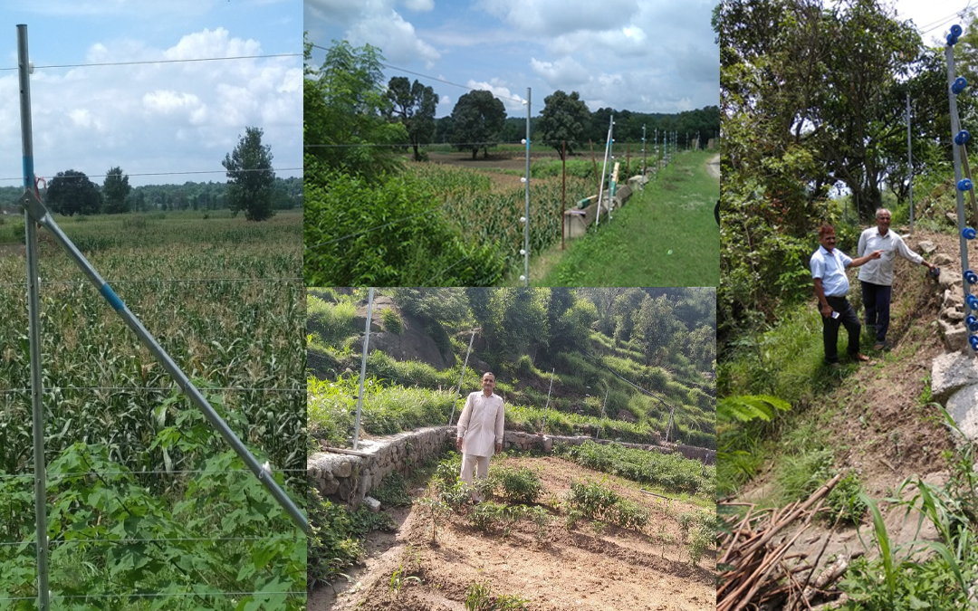 MUKHYAMANTRI KRISHI UTPADAN SANRAKSHAN YOJANA (Badhbandi)