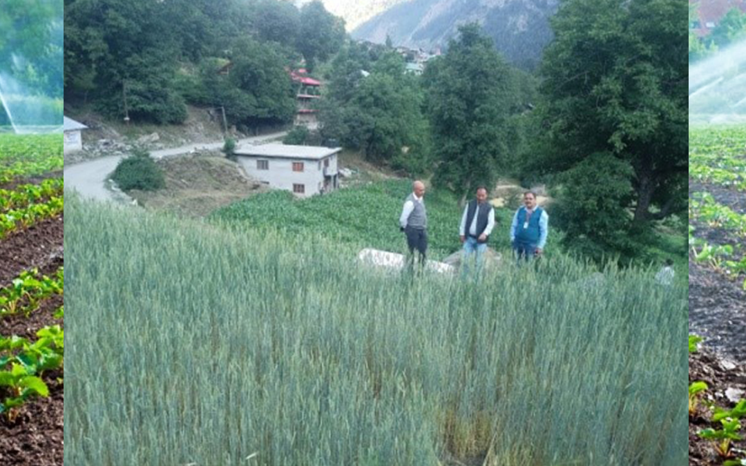 राष्ट्रीय सतत खेती मिशन