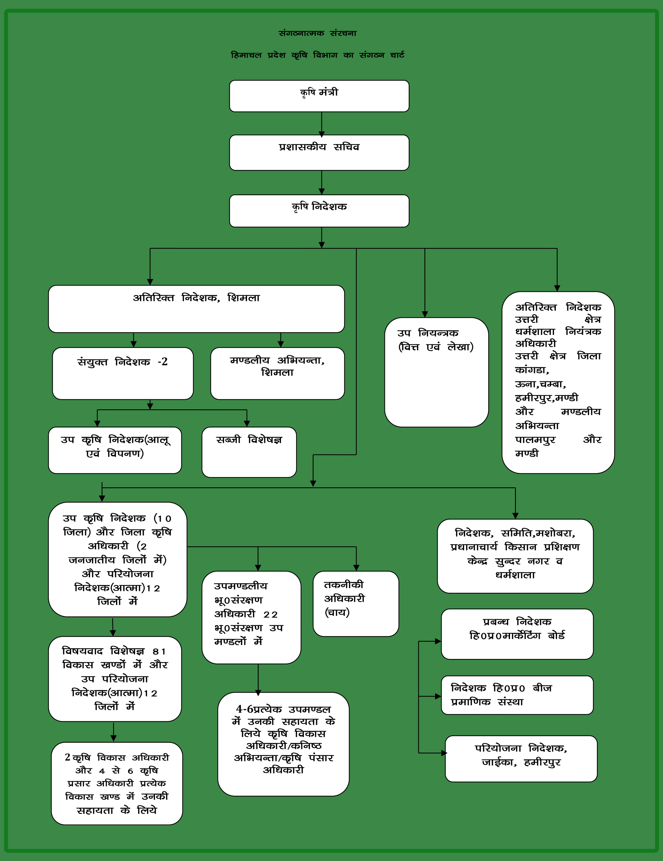 organization chart