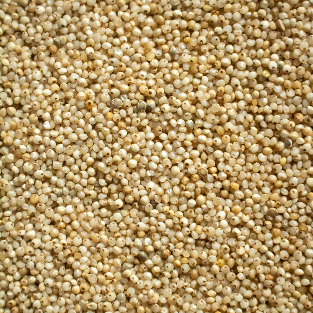 Barnyard Millet Seed