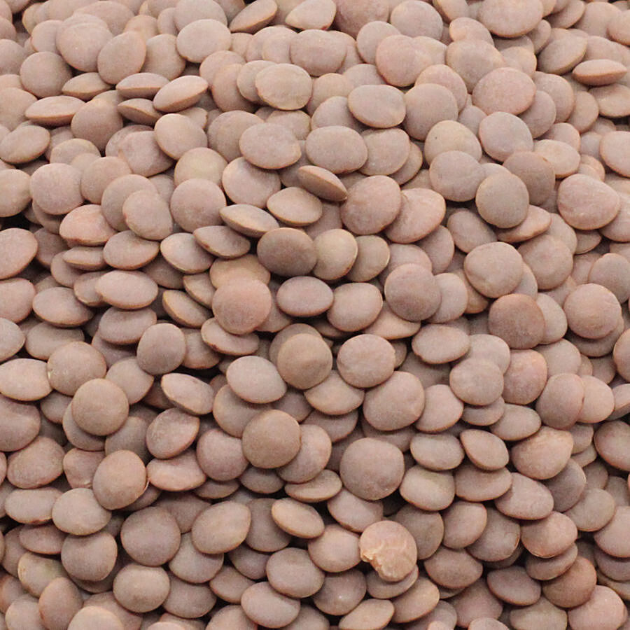 black-masoor-dal-whole