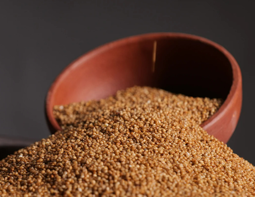 kodo seed